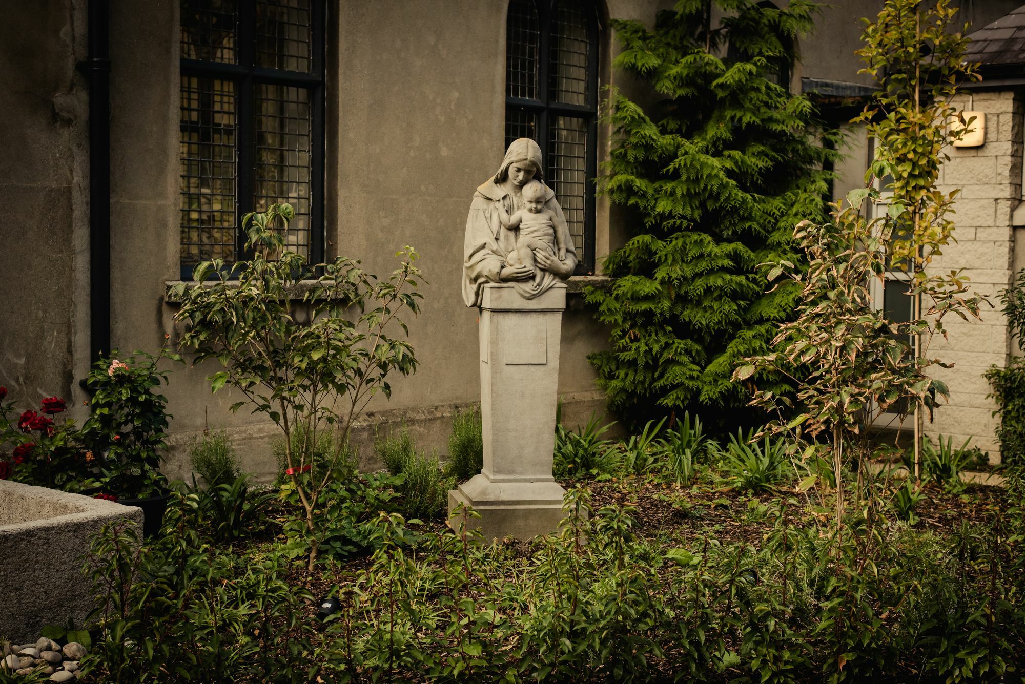 Dcu Rooms All Hallows Δουβλίνο Εξωτερικό φωτογραφία